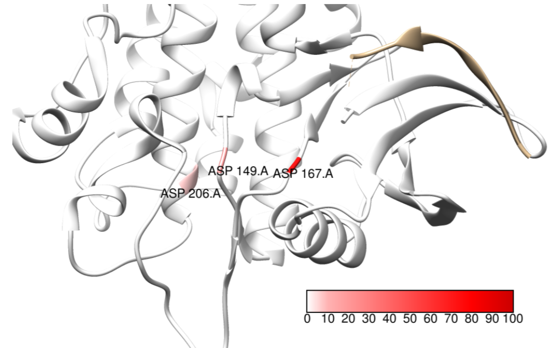 Attention values at predicted binding sites of MST1 target